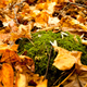 Illustration for article titled Shooting Challenge Fall Leaves Gallery 4